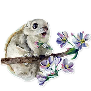💐 リス, 花, 枝, 動物, 野生動物, かわいい whatsapp sticker