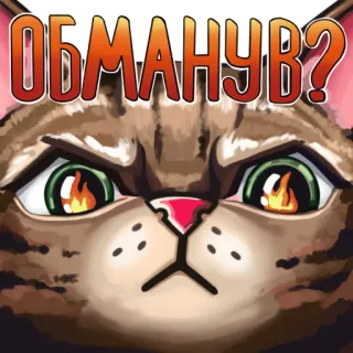 🤬 ОБМАНУВ? แมว, คำถาม, ตลก, สัตว์, มีม telegram sticker