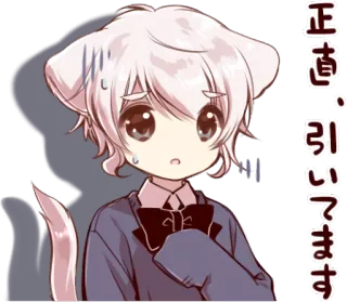 😓 正直・引いています Anime, Katze, Süß, Schweiß, Verlegen telegram sticker