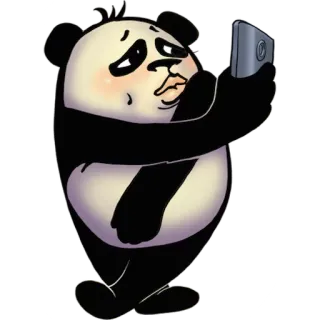 😱 Panda, Selfie, Dier, Cartoon, Schattig telegram sticker