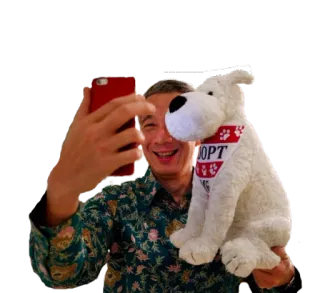 🐶 ADOPT принять, собака, принятие, щенок, домашнее животное, животное telegram sticker