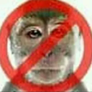 ❌ zwierzę, małpa, zabronione, znak, nie telegram sticker
