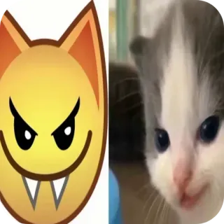 🐱 chaton, chat, emoji, mignon, animal, animal de compagnie telegram sticker