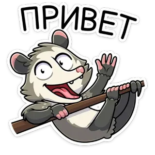 👋 ПРИВЕТ Zarigüeya, Animal, Dibujos animados, Saludo, Hola, Lindo telegram sticker