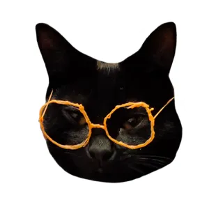 Troshka & koshka whatsapp stickers