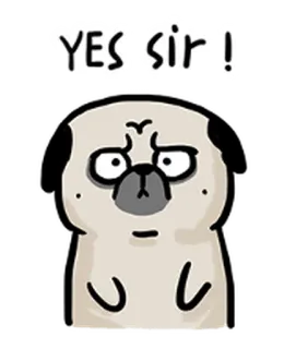 吾皇萬歲 telegram stickers