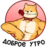 @tgsticker Королевская Битва стикеров telegram stickers