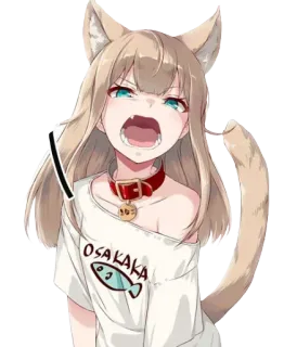 🐈 OSAKAKA anime, catgirl, angry, cartoon, japan, manga whatsapp sticker