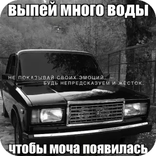 👍 выпей много ВОДЫ
НЕ ПОКАЗЫВАЙ СВоих эмоций.
БУДЬ НЕПРЕДСКАЗУЕМ И ЖЕСТОК.
чтобы моча появилась voiture, russe, texte, véhicule telegram sticker