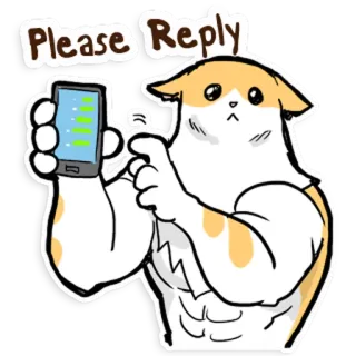 🔪 Please Reply gatto, telefono, muscoli, risposta, carino, animale whatsapp sticker