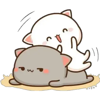 😂 chat, mignon, animal, autocollant, kawaii whatsapp sticker