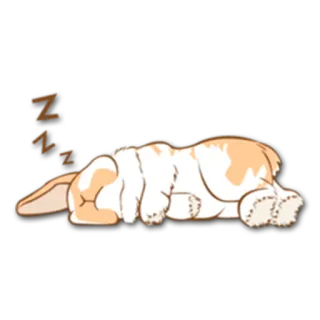 😴 ウサギ, 睡眠, 可愛い, 動物, バニー, zzz, 昼寝 telegram sticker