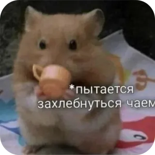 🐱 * пытается захлебнуться чаем hamster, thé, animal, mème, mignon telegram sticker