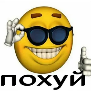 😎 похуй emoji, sunglasses, meme, slang, russian, phrase whatsapp sticker