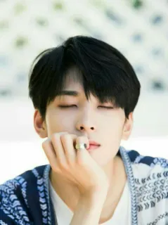 🖤 Wonwoo kpop, seventeen, sänger, musik, idol whatsapp sticker