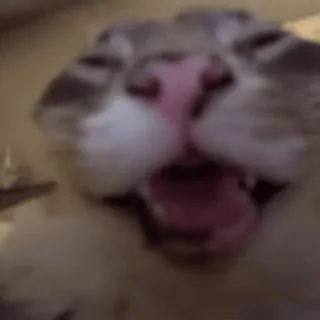 😂