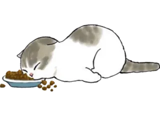 😴 cat, kitten, food, sleeping, cute, bowl, pet telegram sticker