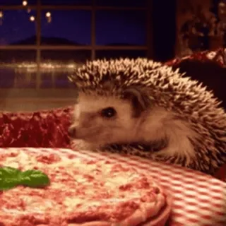 🦔 ёж, пицца, животное, милый, еда telegram sticker