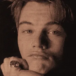 🌻 Leonardo DiCaprio Leonardo DiCaprio, actor, portrait, celebrity telegram sticker