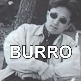 🙃 BURRO man, burro, italian, insult whatsapp sticker