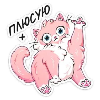 ➕ ПЛЮСУЮ кот, розовый, милый, плюс, русский whatsapp sticker