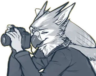 📸 furry, avian, photographer, camera, anthropomorphic telegram sticker