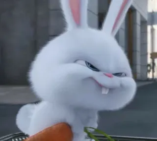 🌟 Snowball The Secret Life of Pets 兔子, 可爱, 卡通, 动物, 宠物, 角色 telegram sticker