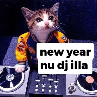 😂 new year
nu dj illa kat, DJ, muziek, nieuwjaar, dier, draaitafel telegram sticker