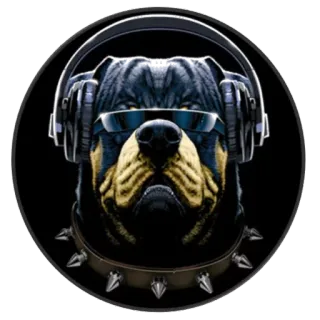 👺 dog, Rottweiler, headphones, sunglasses, pet, animal, collar telegram sticker