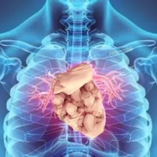 ♥ anatomie, coeur, médical, radio telegram sticker