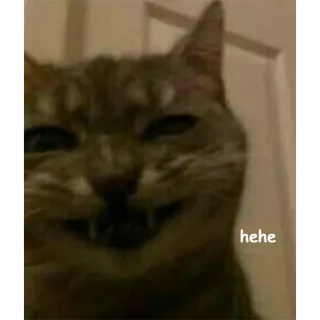 😁 hehe kot, uśmiech, mem, zwierzę, śmieszne telegram sticker
