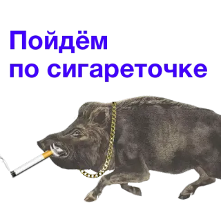 Kabanchikom telegram stickers