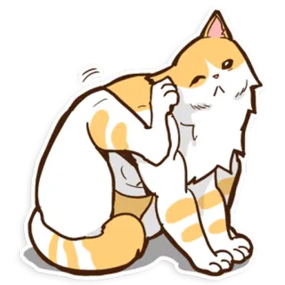 🐱 gatto, graffio, carino, arancione, bianco, animale, animale domestico whatsapp sticker