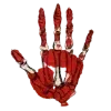 🖐