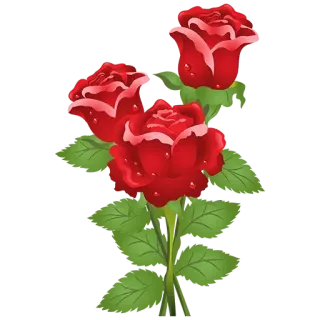🌔 roses, red flowers, bouquet, floral, nature, plants telegram sticker