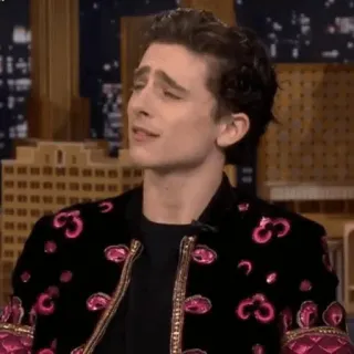😒 Timothée Chalamet นักแสดง, คนดัง, ทิโมธี ชาลาเมต์, ทอล์คโชว์, โทรทัศน์ telegram sticker
