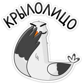🤦‍♂️ Крылолицо bird, seagull, cartoon, funny, slang, крылолицо telegram sticker