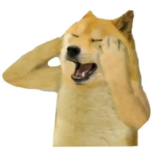 😫 Doge doge, meme, perro, llorando, impactado, angustiado telegram sticker