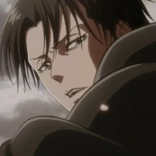 📎 Levi Ackerman Attack on Titan anime, attack on titan, levi, levi ackerman, captain levi, manga, anime character telegram sticker