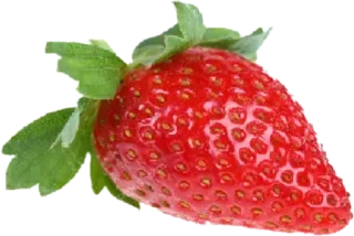 🍓 erdbeere, frucht, rot, gesund, essen, süß telegram sticker