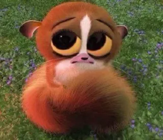 🥺 Mort Madagascar whatsapp sticker