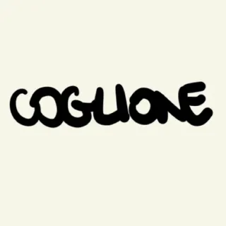 😑 COGLIONE hinaan, italia, menyinggung telegram sticker