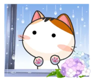 🌨 chat, pluie, fenêtre, mignon, animal, fleur whatsapp sticker