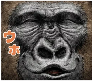 ☺️ ウホ Горилла, Обезьяна, Животное, Примат whatsapp sticker