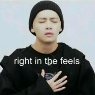 🐯 right in the feels sentimentos, emoção, triste, meme, expressão, decepção telegram sticker