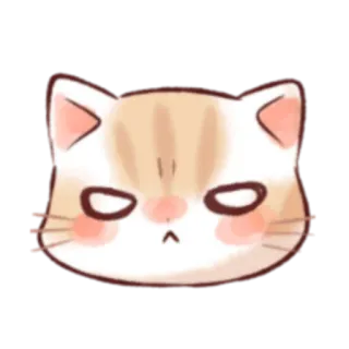 😡 кот, животное, наклейка, милый, каваий, питомец, кошачий, злой whatsapp sticker