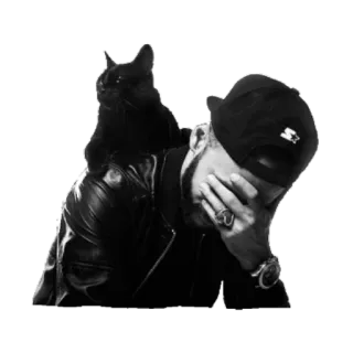 😔 mann, katze, schwarze Katze, haustier, mode, porträt telegram sticker