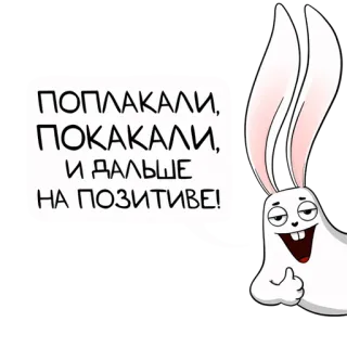 🤣 ПОПЛАКАЛИ, ПОКАКАЛИ, И ДАЛЬШЕ НА ПОЗИТИВЕ! lapin, positif, humour whatsapp sticker