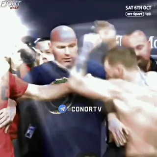 🦁 Conor McGregor CONORTV fight, boxing, sports, conor mcgregor, violence, aggression, mma telegram sticker