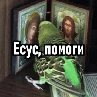 🤔 Есус, помоги jesus, iconos, pájaro, loro, ayuda, religión whatsapp sticker